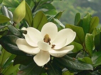涂裝風(fēng)管清洗2